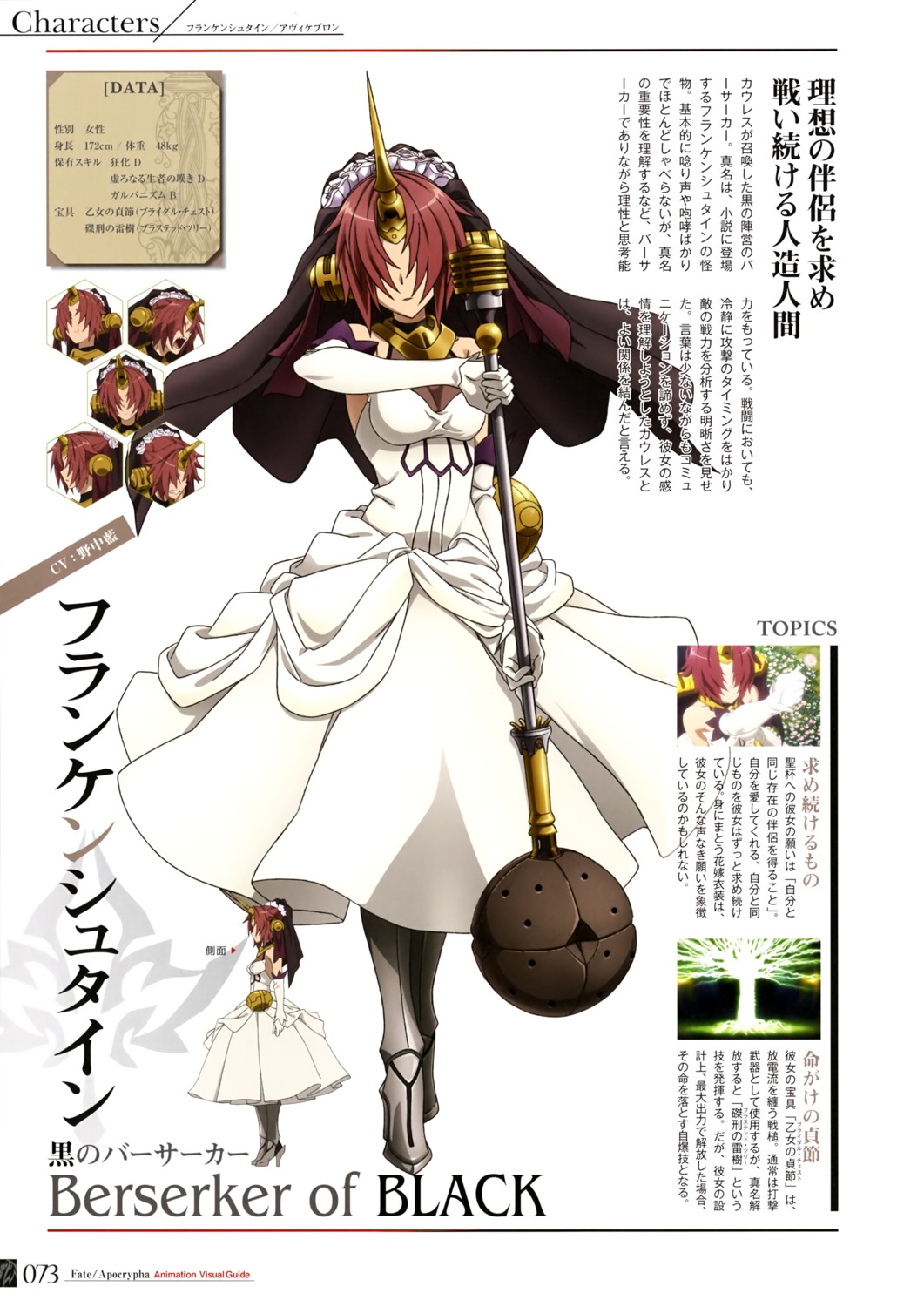 Fateapocrypha Fatestay Night Frankensteins Monster Fate Armor Character Design Dress 5614